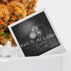 Projet de graphisme Kelc'h Al Lann